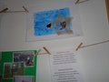 DSC01042