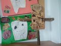 IMG_20210218_081754