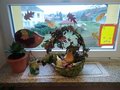 IMG_20201111_160614