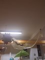 IMG-20211217-WA0015