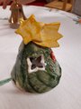 IMG-20211217-WA0009