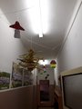 IMG-20211105-WA0003
