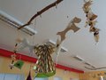 DSC05210