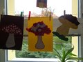 DSC04527
