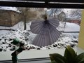 DSC05251