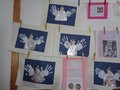 DSC05248